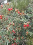 IMG 20190902 WA0002 IMG 20190902 WA0002