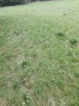 IMG 20190902 WA0003 IMG 20190902 WA0003