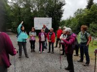 IMG 20200702 145356 IMG 20200702 145356