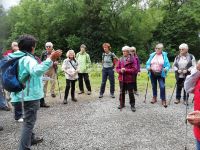 IMG 20200702 145414 IMG 20200702 145414