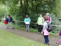 IMG 20200702 150518 IMG 20200702 150518