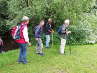 IMG 20200702 151007 IMG 20200702 151007