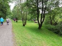 IMG 20200702 152317 IMG 20200702 152317