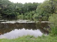 IMG 20200702 152414 IMG 20200702 152414