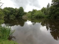 IMG 20200702 152428 IMG 20200702 152428