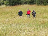 IMG 20200702 160053 IMG 20200702 160053