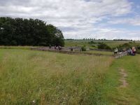 IMG 20200702 160232 IMG 20200702 160232