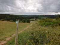 IMG 20200702 160248 IMG 20200702 160248