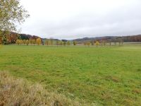 IMG 20211031 121343 IMG 20211031 121343