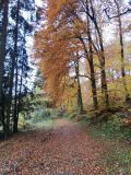 IMG 20211031 132949 IMG 20211031 132949
