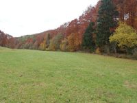 IMG 20211031 133034 IMG 20211031 133034