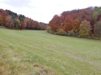 IMG 20211031 133712 IMG 20211031 133712