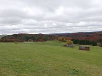 IMG 20211031 141736 IMG 20211031 141736