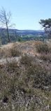 IMG 20220807 WA0030 IMG 20220807 WA0030